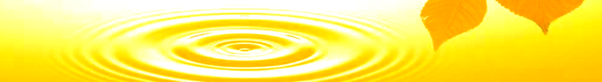 contact-non-waord.jpg.png