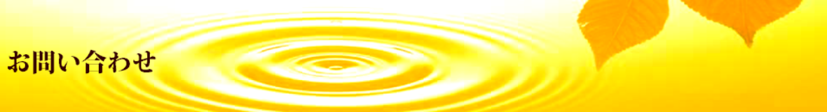 contact-waord.jpg.png